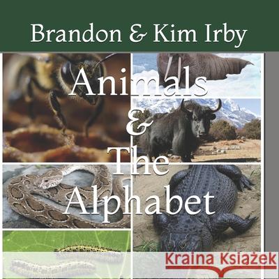 Animals And The Alphabet Kimberly Irby, Brandon Irby 9781729611975 Createspace Independent Publishing Platform - książka