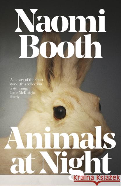 Animals at Night Naomi Booth 9781911585862 Cinder House - książka