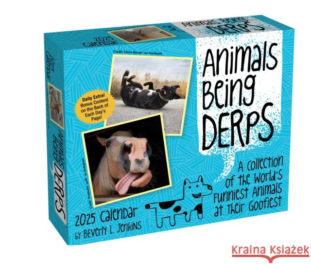 Animals Being Derps 2025 Day-to-Day Calendar Beverly L. Jenkins 9781524889296 Andrews McMeel Publishing - książka