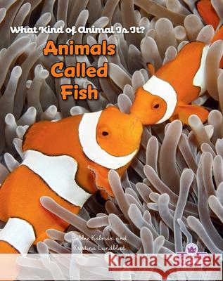 Animals Called Fish Bobbie Kalman Kristina Lundblad 9781039873131 Crabtree Crown - książka