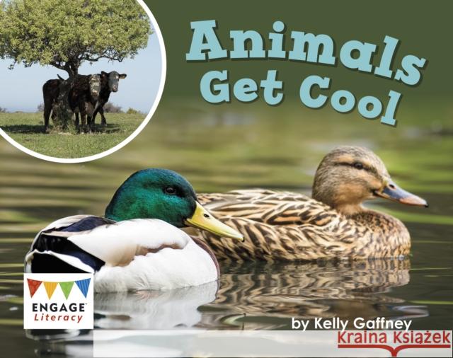 Animals Get Cool Kelly Gaffney 9781398247338 Capstone Global Library Ltd - książka