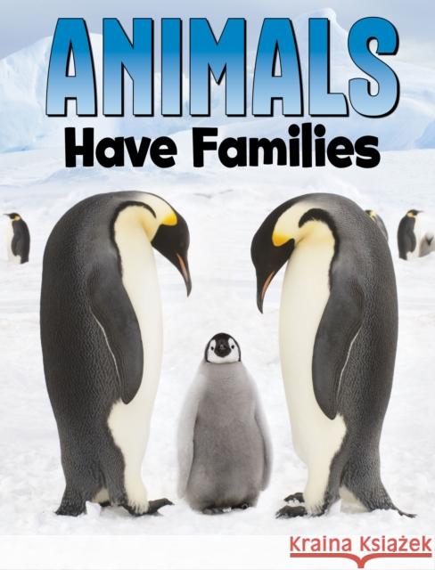 Animals Have Families Nadia Ali 9781398250246 Capstone Global Library Ltd - książka