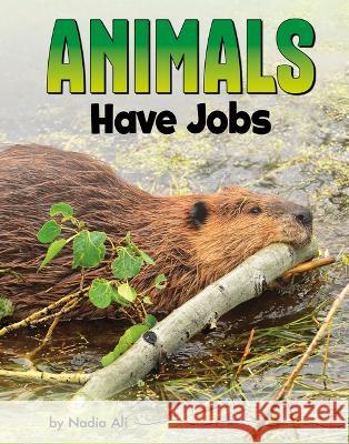 Animals Have Jobs Nadia Ali 9780756572006 Pebble Books - książka