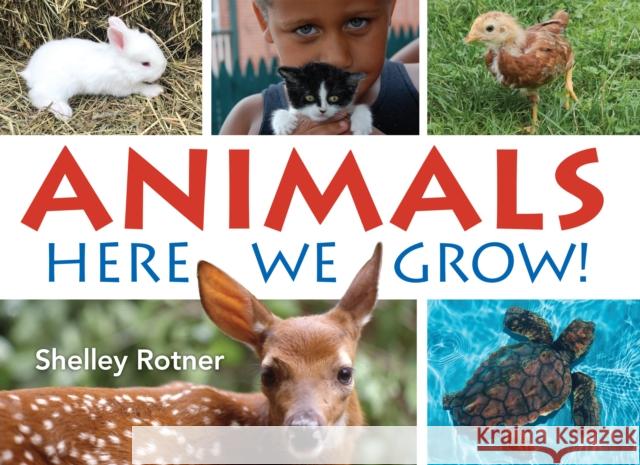 Animals!: Here We Grow Shelley Rotner 9780823451425 Holiday House - książka