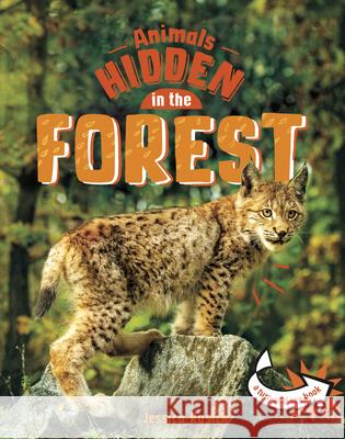Animals Hidden in the Forest Jessica Rusick 9781666315455 Pebble Books - książka