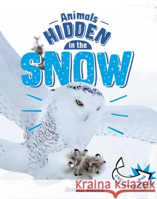 Animals Hidden in the Snow Jessica Rusick 9781666315356 Pebble Books - książka