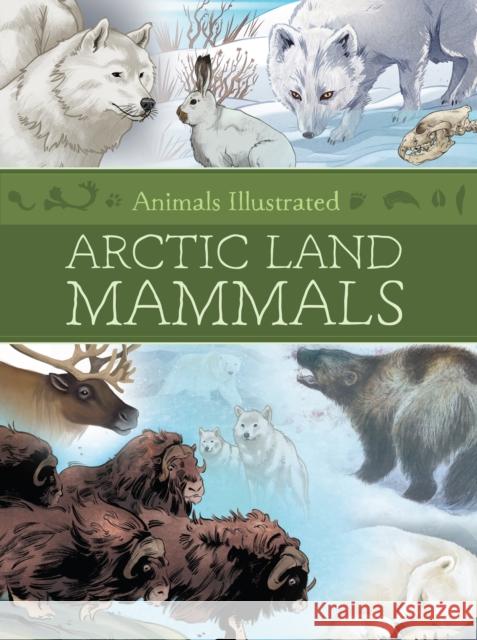 Animals Illustrated: Arctic Land Mammals Danny Christopher 9781772275858 Inhabit Media - książka