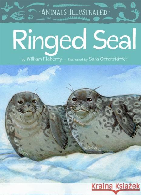 Animals Illustrated: Ringed Seal William Flaherty Sara Otterstatter 9781772273700 Inhabit Media - książka