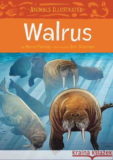 Animals Illustrated: Walrus Paniaq, Herve 9781772271423 Inhabit Media - książka