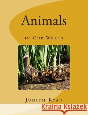 Animals in Our World Judith Ryan 9781500906726 Createspace - książka