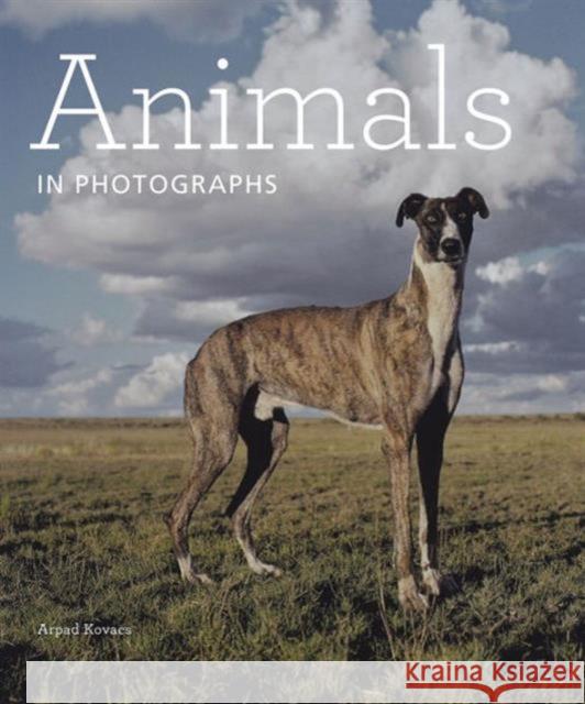 Animals in Photographs Arpad Kovacs 9781606064412 YALE UNIVERSITY PRESS ACADEMIC - książka