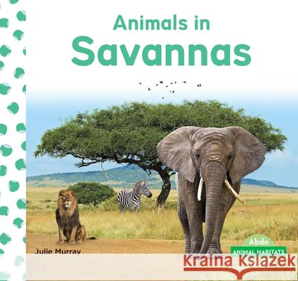 Animals in Savannas Julie Murray 9781098202101 Abdo Kids - książka
