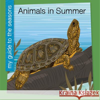 Animals in Summer Rebecca Felix 9781668972595 Cherry Lake Publishing - książka
