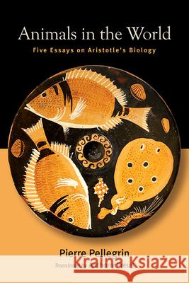 Animals in the World: Five Essays on Aristotle's Biology Pierre Pellegrin Anthony Preus 9781438491462 State University of New York Press - książka