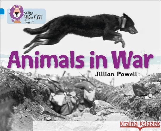 Animals in War: Band 04 Blue/Band 17 Diamond The Imperial War Museum 9780007428854 HarperCollins Publishers - książka