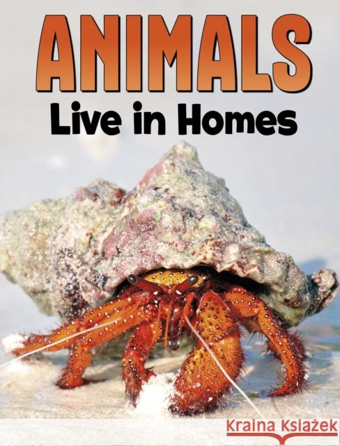 Animals Live in Homes Nadia Ali 9781398250215 Capstone Global Library Ltd - książka