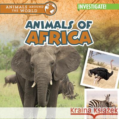 Animals of Africa Natalie Humphrey 9781978543034 Enslow Publishing - książka