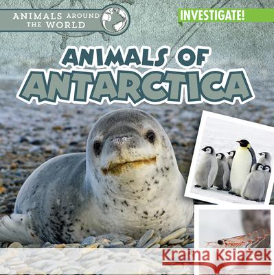 Animals of Antarctica Natalie Humphrey 9781978543065 Enslow Publishing - książka