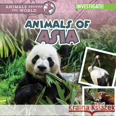 Animals of Asia Natalie Humphrey 9781978543096 Enslow Publishing - książka