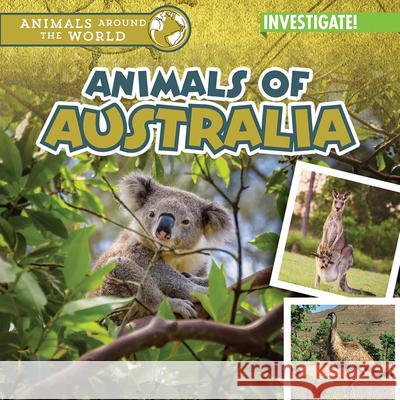 Animals of Australia Natalie Humphrey 9781978543126 Enslow Publishing - książka