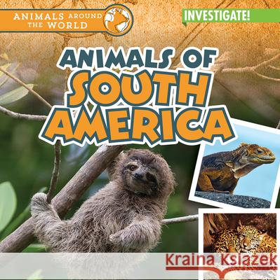 Animals of South America Natalie Humphrey 9781978543218 Enslow Publishing - książka