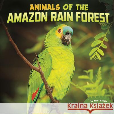 Animals of the Amazon Rain Forest Mari Schuh 9781977132949 Pebble Books - książka