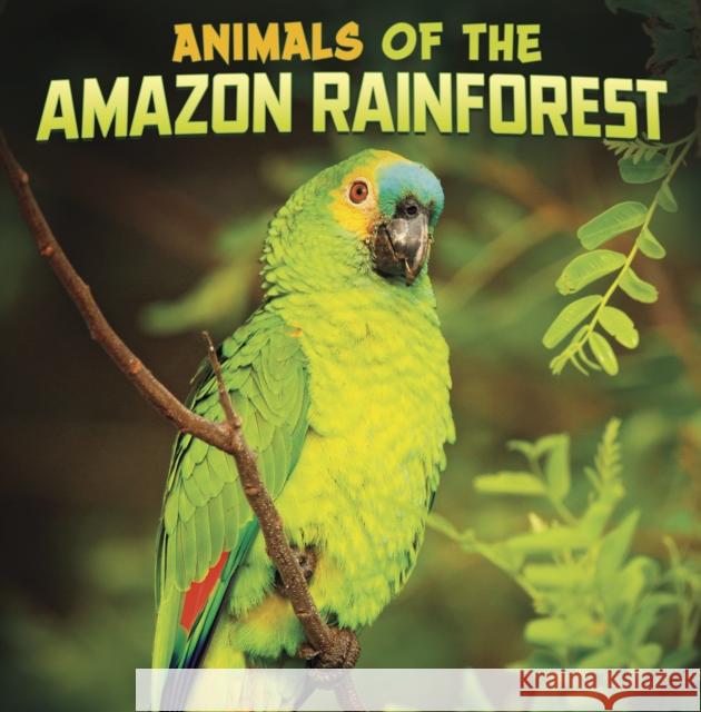 Animals of the Amazon Rainforest Mari Schuh 9781398224797 RAINTREE PAPERBACKS - książka
