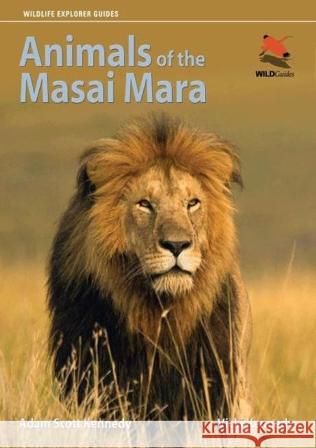 Animals of the Masai Mara Adam Scott Kennedy 9780691156019  - książka