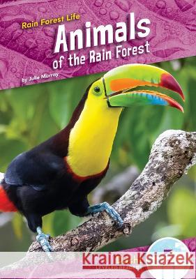 Animals of the Rain Forest Julie Murray 9781098280086 Dash! - książka
