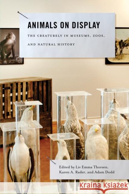 Animals on Display: The Creaturely in Museums, Zoos, and Natural History Thorsen, LIV Emma 9780271060712 Penn State University Press - książka