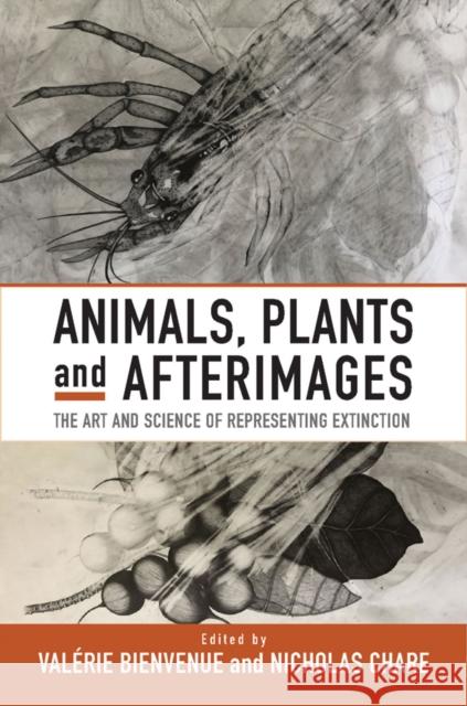 Animals, Plants and Afterimages: The Art and Science of Representing Extinction  9781805393320 Berghahn Books - książka