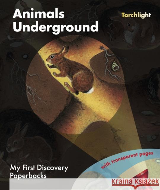 Animals Underground Daniel Moignot 9781851037513 Moonlight Publishing Ltd - książka