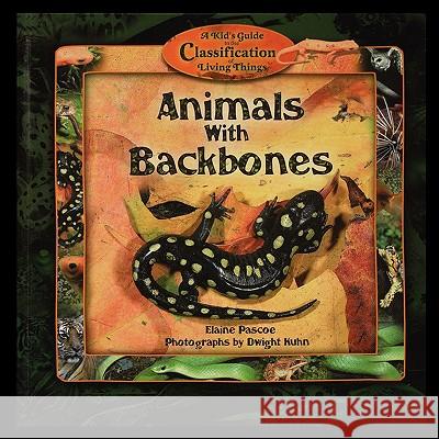 Animals with Backbones Elaine Pascoe 9781435836891 PowerKids Press - książka