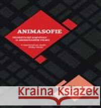 Animasofie: Teoretické úvahy o animovaném filmu Ülo Pikkov 9788073314460 Akademie múzických umění - książka