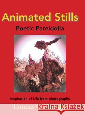 Animated Stills: Poetic Pareidolia Thomas Reischel 9781955070737 Word Art Publishing - książka