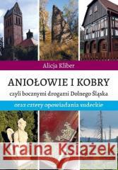 Aniołowie i kobry.. Alicja Kliber 9788366664692 Sorus - książka