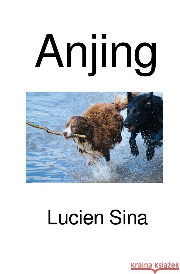 Anjing Sina, Lucien 9783818711559 epubli - książka