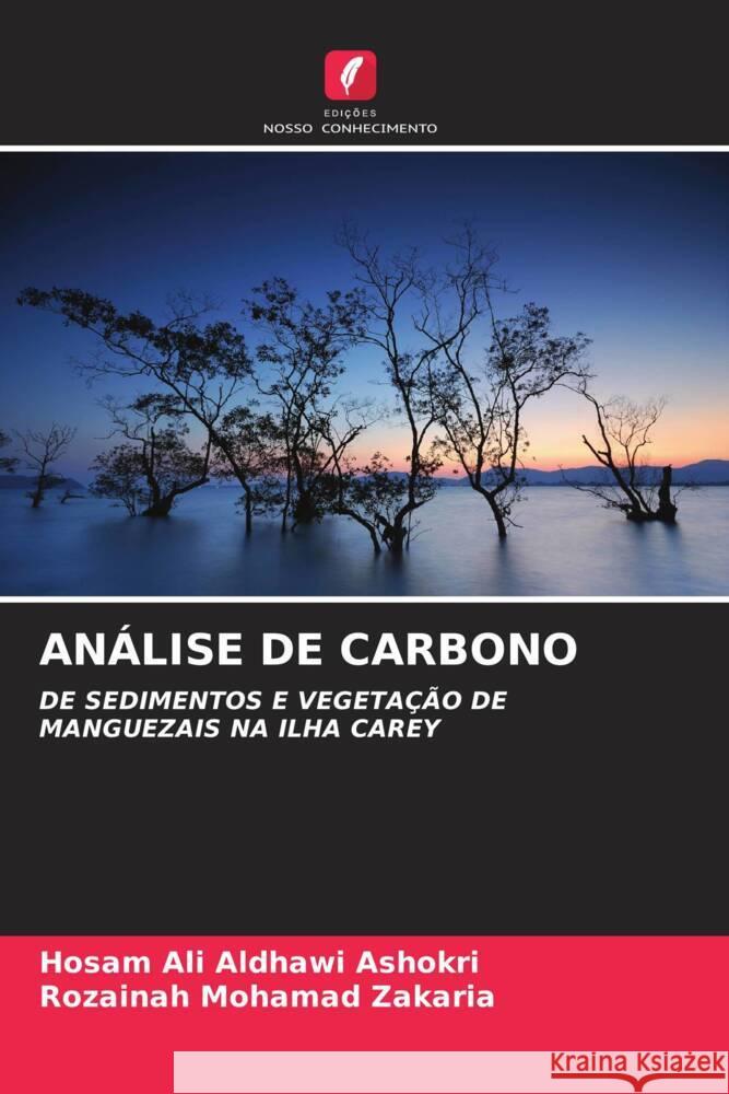 ANÁLISE DE CARBONO Ali Aldhawi Ashokri, Hosam, Mohamad Zakaria, Rozainah 9786204653396 Edições Nosso Conhecimento - książka