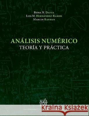 Análisis Numérico: Teoría y Práctica Hernandez-Ramos, Luis M. 9789876551588 Ediuns: Editorial de la Universidad Nacional - książka