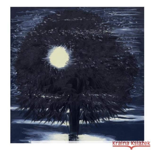 Ann Craven: Night Ann Craven 9781961883161 Karma, New York - książka