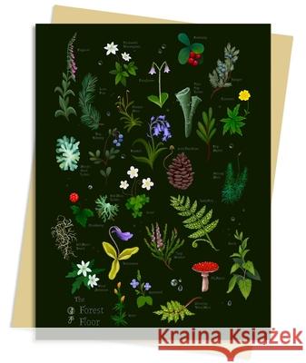 Anna Stead Forest Floor Greeting Card Pack  9781835628843 Flame Tree Publishing - książka