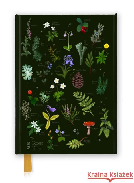Anna Stead: The Forest Floor (Foiled Journal) Flame Tree Studio 9781835626801 Flame Tree Gift - książka