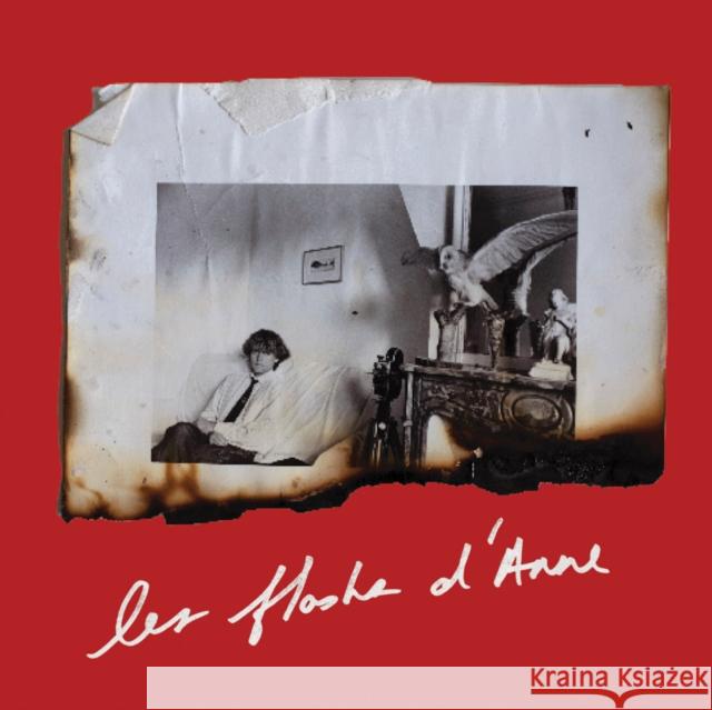 Anne Day: Les Flashes D'Anne: Friendship Among the Ashes with Herve Guibert Anne Day 9781738901371 Magic Hour Press - książka