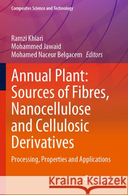 Annual Plant: Sources of Fibres, Nanocellulose and Cellulosic Derivatives  9789819924752 Springer Nature Singapore - książka