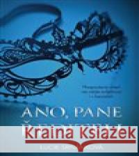 Ano, pane řediteli Lucie Srňánková 9788075464323 Fortuna Libri - książka