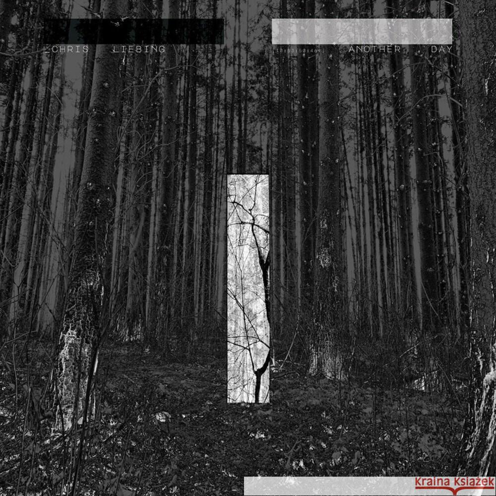 Another Day, 1 Audio-CD Liebing, Chris 5400863055165 Mute - książka