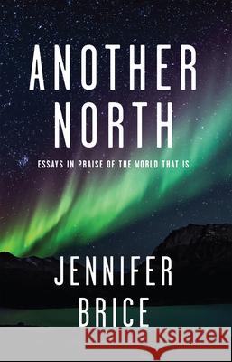 Another North Jennifer Brice 9781597099363 Red Hen Press - książka