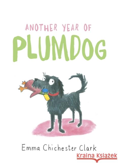 Another Year of Plumdog Chichester Clark, Emma 9781911214274 Vintage Publishing - książka