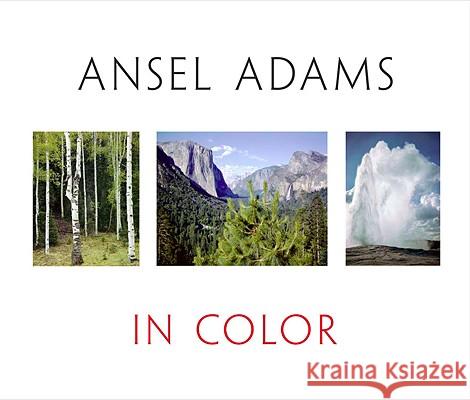 Ansel Adams in Color Ansel Adams 9780316056410  - książka