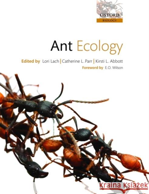 Ant Ecology Kirsti Lach 9780199592616  - książka